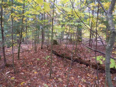 45 Clough Pond Rd, Loudon, NH 03307 - photo 4