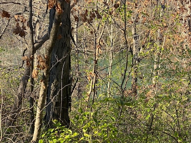 0 E Redbud St, Springfield, MO 65804 - photo 7