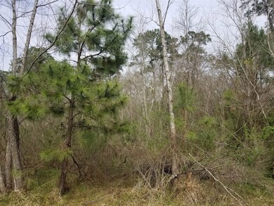 00 Briarcliff St, Conroe, TX 77385 - photo 6