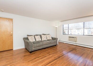 41 Walnut St unit 31, Waltham, MA 02453 - photo 7