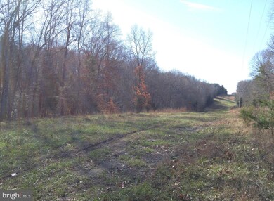 0 New Hampshire Rd unit 31 VAOR134578, Rhoadesville, VA 22542 - photo 4