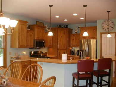 424 U s Grant St, Lagrange, OH 44050 - photo 6