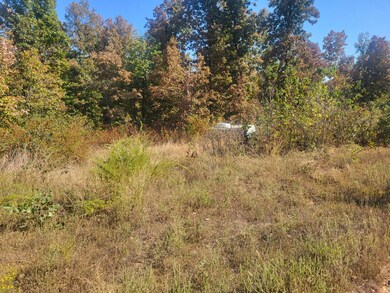 TBD Corner of Ring Rd and Upper Janes Creek, Ravenden Springs, AR 72460 - photo 7