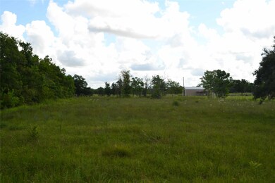 0 County Road 283 Rd, Alvin, TX 77511 - photo 5