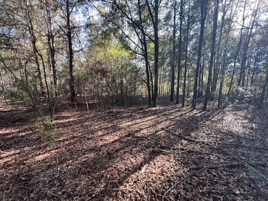 3 ac County Road 404, Elba, AL 36323 - photo 6