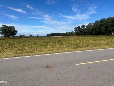 900 Marler Rd, Benson, NC 27504 - photo 5