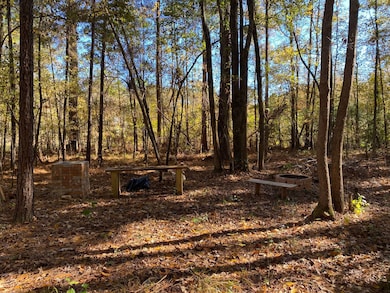 1 Allenwood Dr, Canton, MS 39046 - photo 2