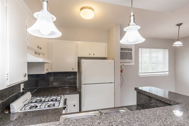 425 Emerson St unit 7, Houston, TX 77006 - photo 6