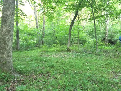 Imagine a picnic table here!