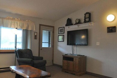 8 Fall Line Dr unit N201, Newry, ME 04261 - photo 5