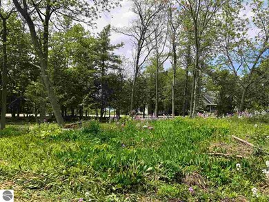 173 Ottawa, Elk Rapids, MI 49629 - photo 7