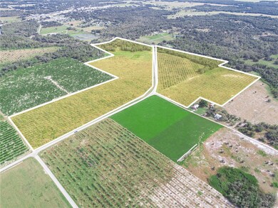 2485 S Florida Ave, Wauchula, FL 33873 - photo 5