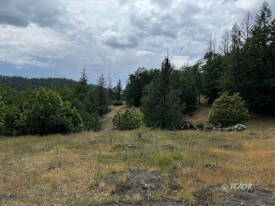 14991 California 3, Hayfork, CA 96041 - photo 5