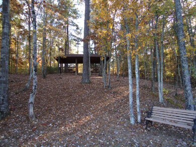 1 Lee Road 2117, Salem, AL 36874 - photo 6