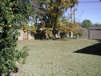 P1010740