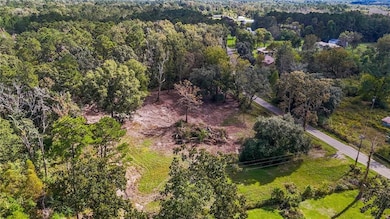 B-1 Bennett Rd, Holden, LA 70744 - photo 5