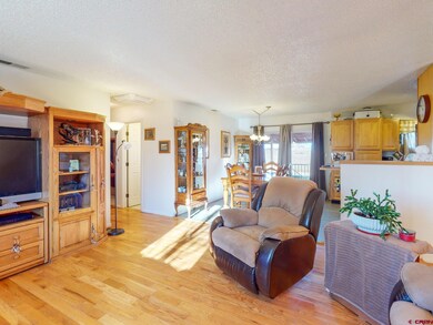 710 N Austin St, Cortez, CO 81321 - photo 4