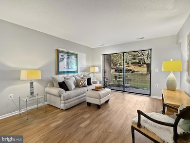 15316 Pine Orchard Dr unit 82-1J, Silver Spring, MD 20906 - photo 4