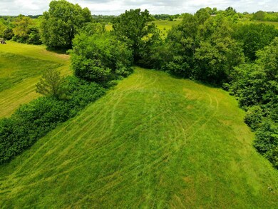 Photo_6553867_DJI_267_jpg_8501104_0_2021