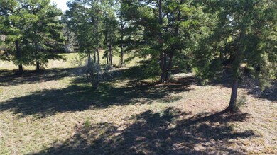 00000 Macedonia, Waller, TX 77484 - photo 7