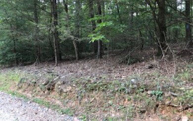 LT 19 Cartecay Cove Ln, Ellijay, GA 30536 - photo 2