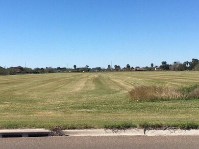 0 N Fm 493 Rd unit 203254, Donna, TX 78537 - photo 2