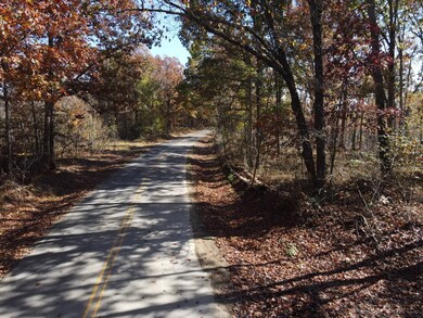 0 Old Highway 18 unit RTC2593446, Stewart, TN 37175 - photo 6