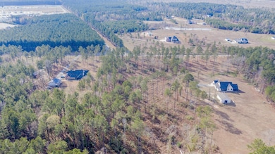 Bird's eye view featuring a rural view