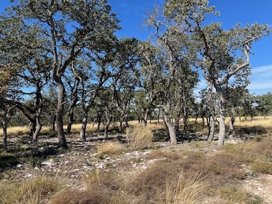 Tract 16 Rare Eagle Dr unit 16, Fredericksburg, TX 78624 - photo 4