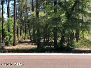 1825 S Pleasantview Dr, Show Low, AZ 85901 - photo 3