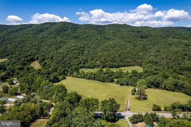 TBD State Route 259, Mathias, WV 26812 - photo 5