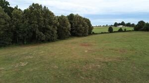 Fork Creek 4