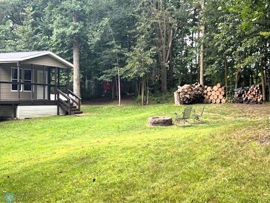 Firepit area (lots of wood left for burning)