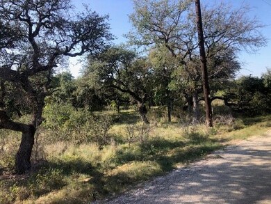 Lot 7 Turner Ranch Rd, Brownwood, TX 76801 - photo 4