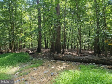 0 Dogwood Ln, Buckmarsh, VA 20135 - photo 4