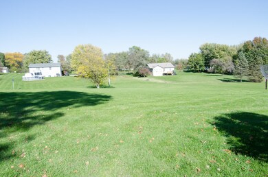 Spacious back yard