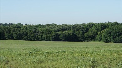 Looking south towards treeline on South portion of