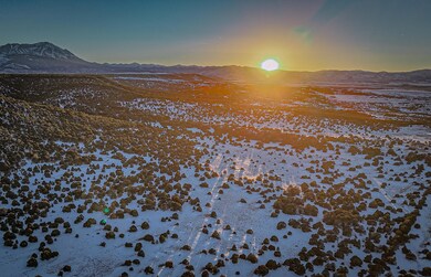 dji_fly_20250124_165754_0893_17377634833