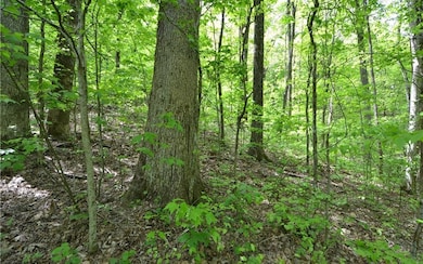 Additional View
