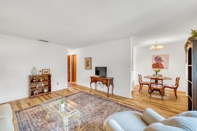 753 Ashdale Dr unit 3A, Charleston, SC 29407 - photo 5