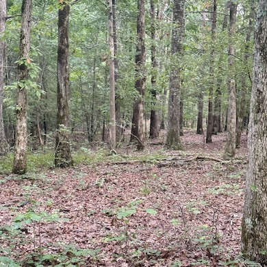 5 Tummins Rd, McEwen, TN 37101 - photo 5