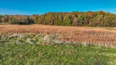 00 Hwy 412 W, Lexington, TN 38351 - photo 7