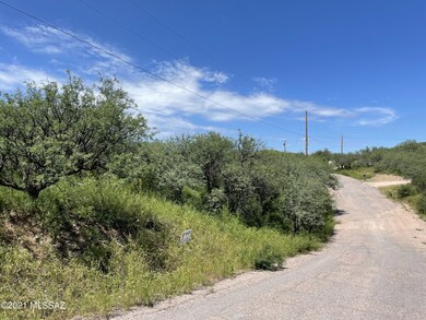 IMG_1022