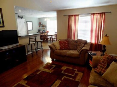 Living Room Open to Kitchen