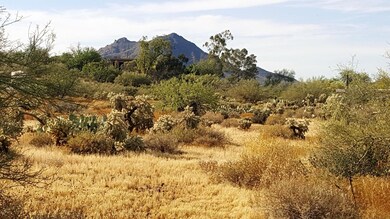 NATURAL DESERT