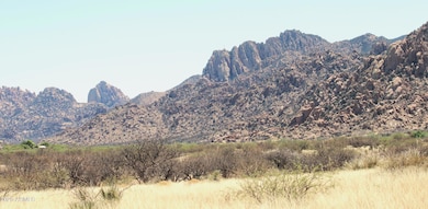 F 196 E Horse Ranch Rd unit 196, Saint David, AZ 85630 - photo 5