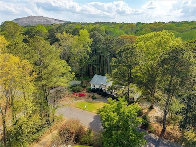 Bird's eye view featuring a wooded view and a moun