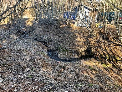 The creek!