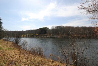 0 Johnson Ln, Honesdale, PA 18431 - photo 4