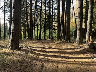 59744 Rommel Ln, Weston, OR 97886 - photo 3